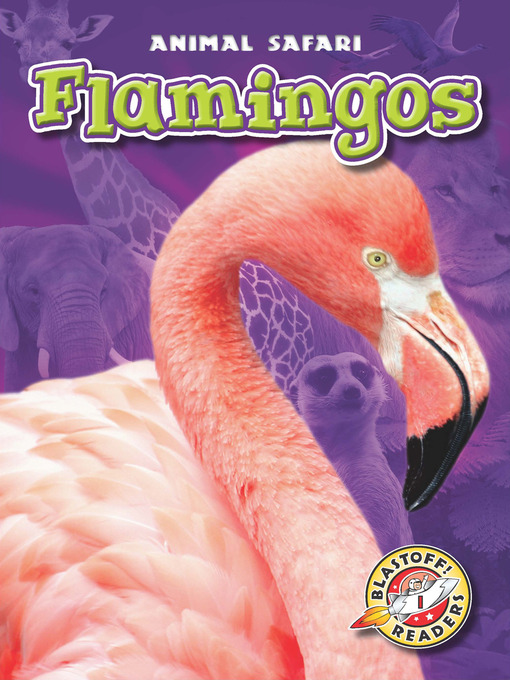 Title details for Flamingos by Megan Borgert-Spaniol - Available